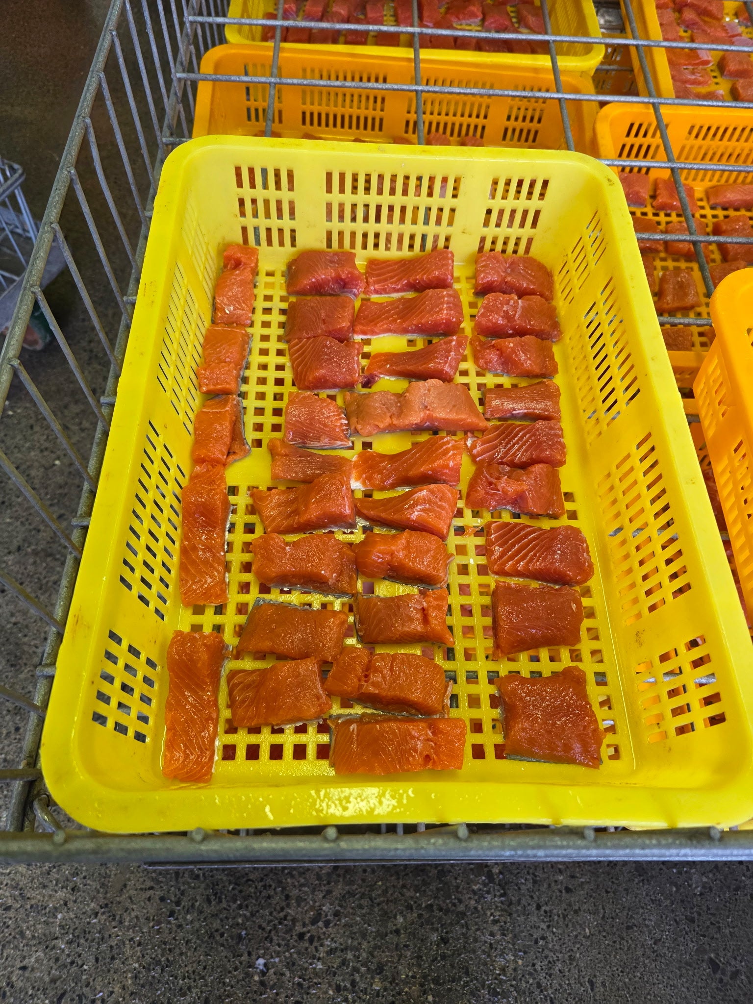 Wild Alaskan Salmon Treats