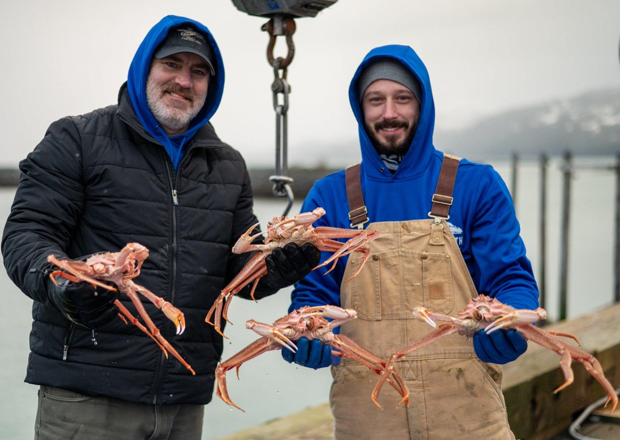 wild alaskan bairdi snow crab on the dock