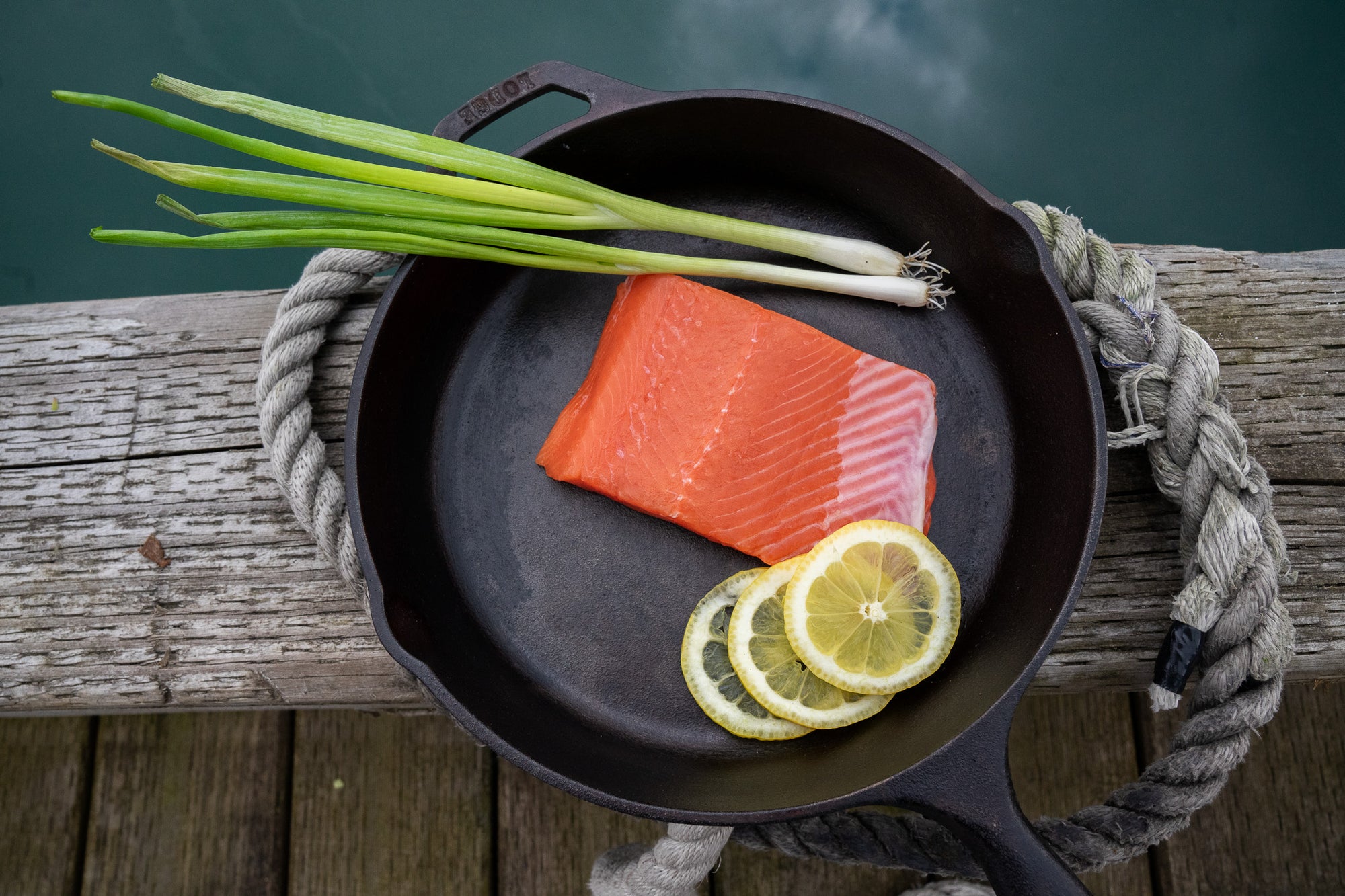 Copper River Coho Salmon