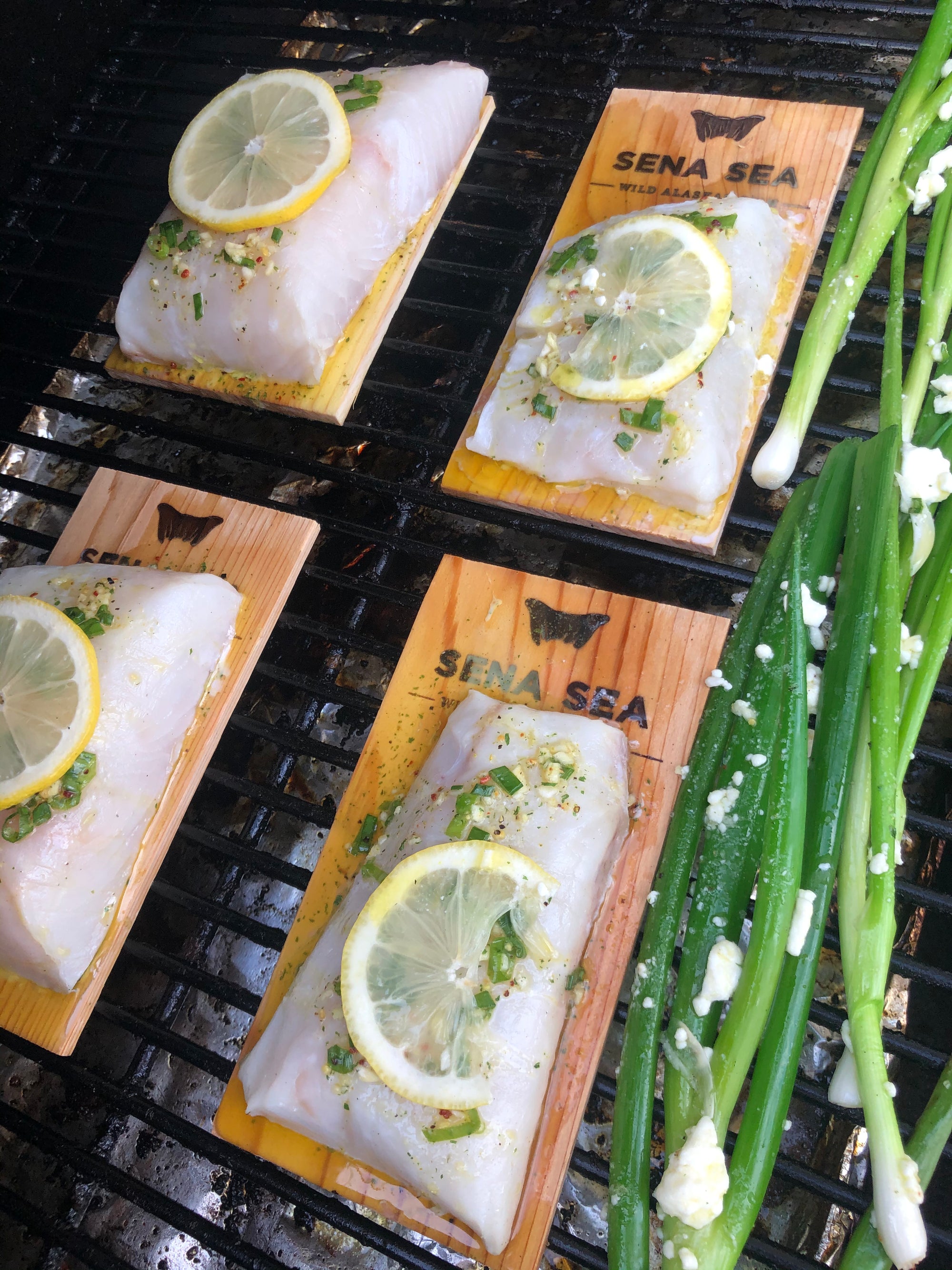 Raw fish fillets on cedar planks with lemon slices and herbs on a grill, surrounded by green onions.