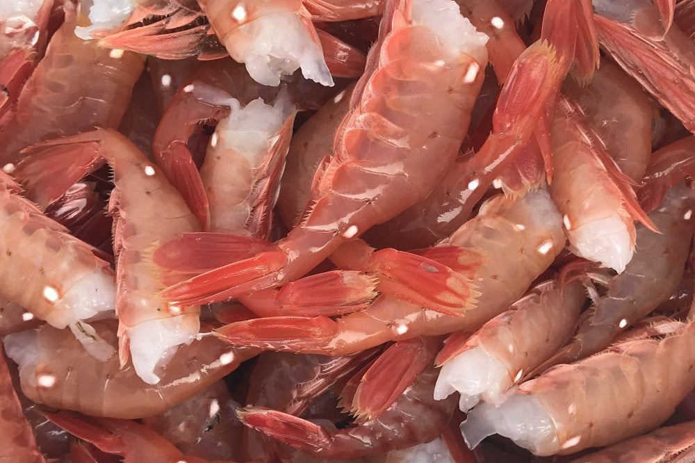 WILD ALASKAN SPOT SHRIMP PRAWNS