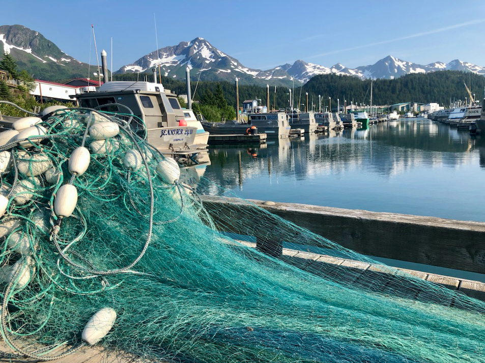 coho fishing net Copper River Coho Salmon