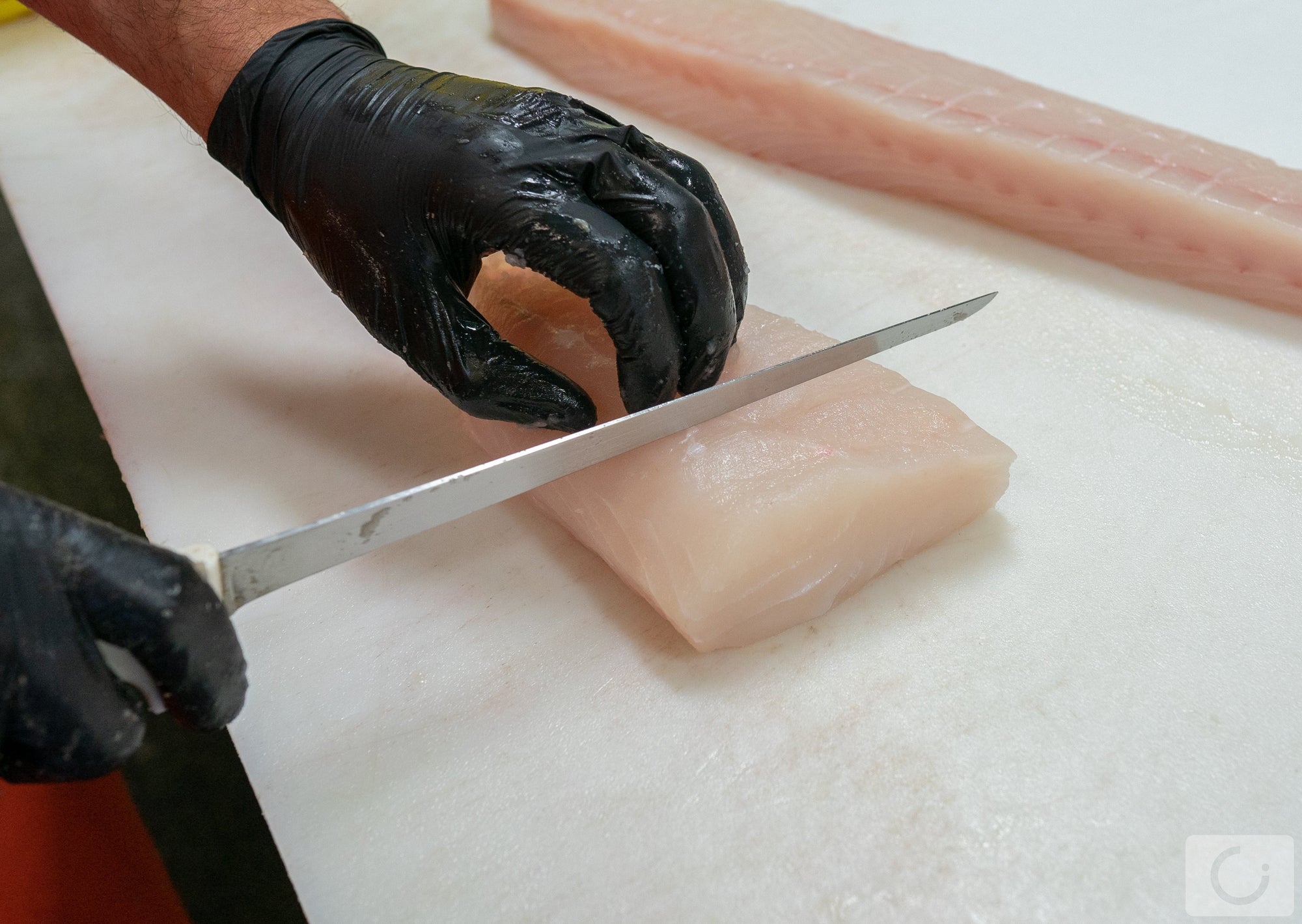 Filleting Fresh Halibut 