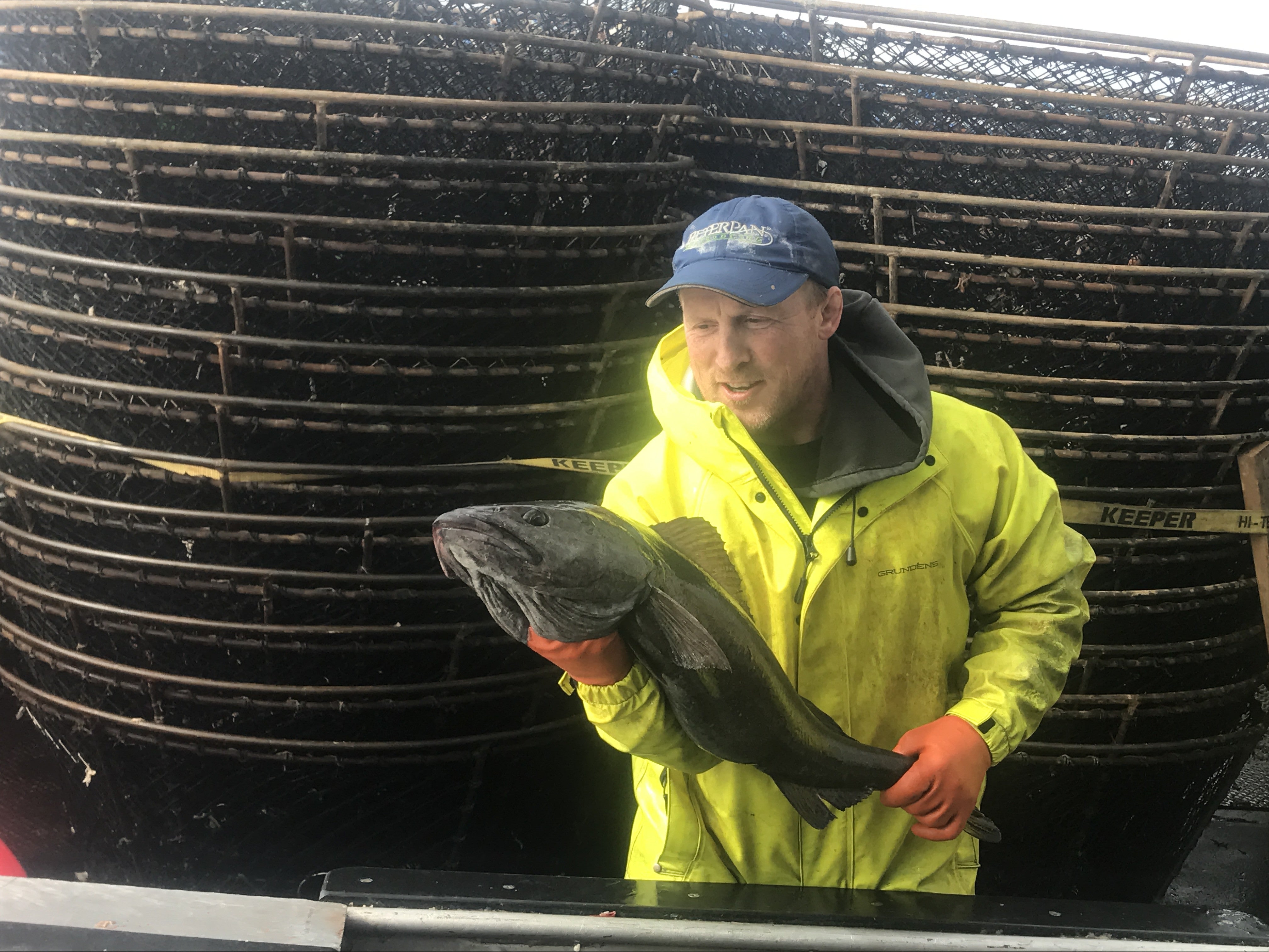 Black Cod Pot Fishing Sena Sea
