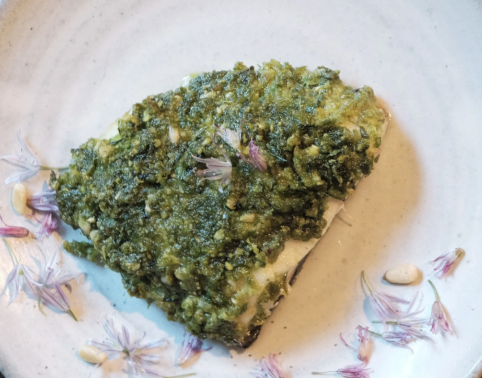 Lingcod pesto