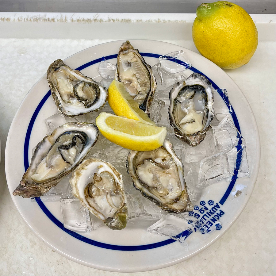 All Shellfish