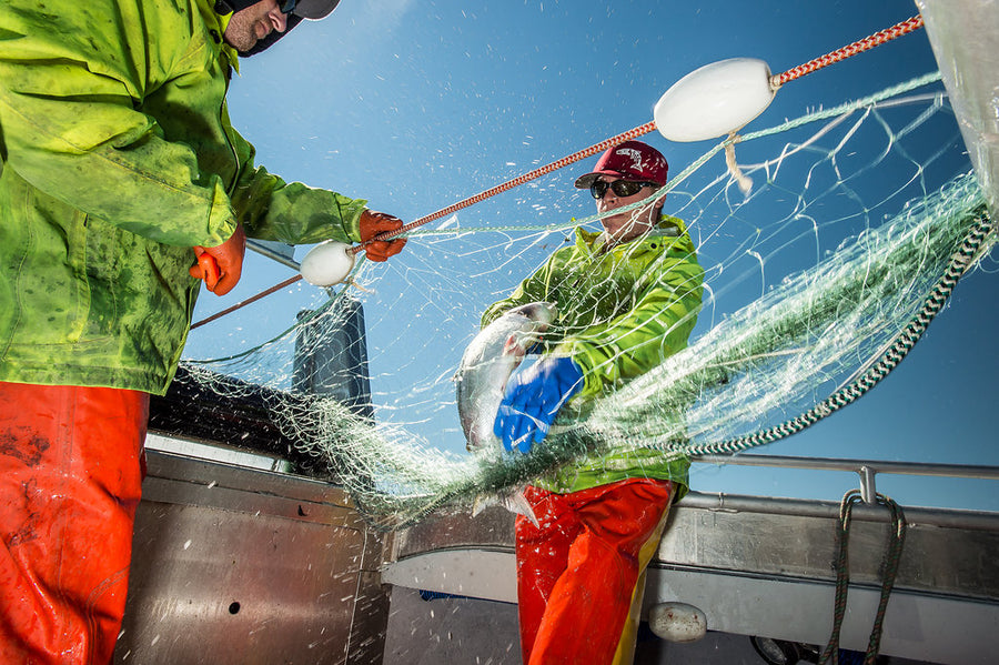 Sea Sea crew catching a salmon on their boat in Alaska