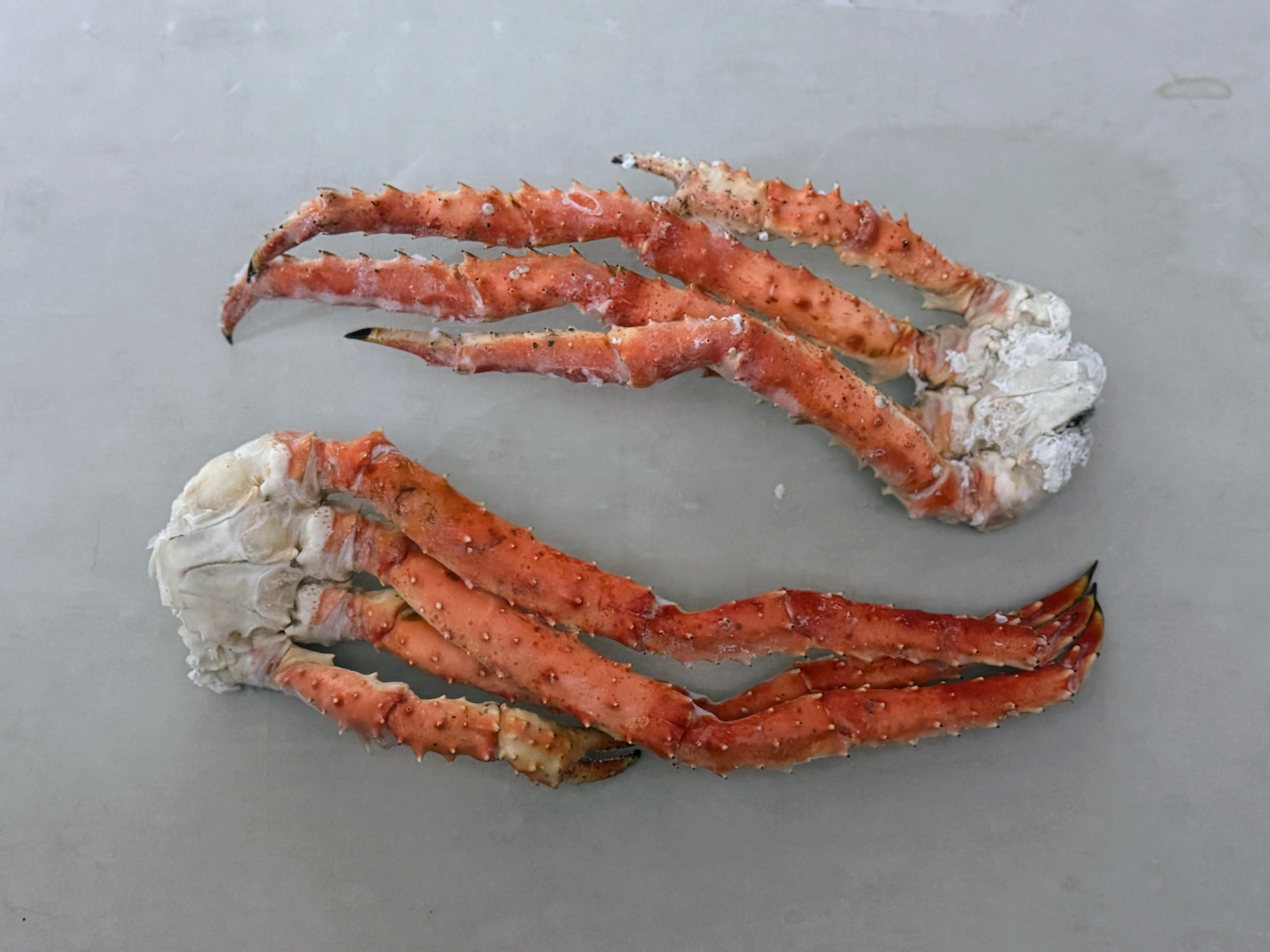Two extra large red king crab legs on a gray surface