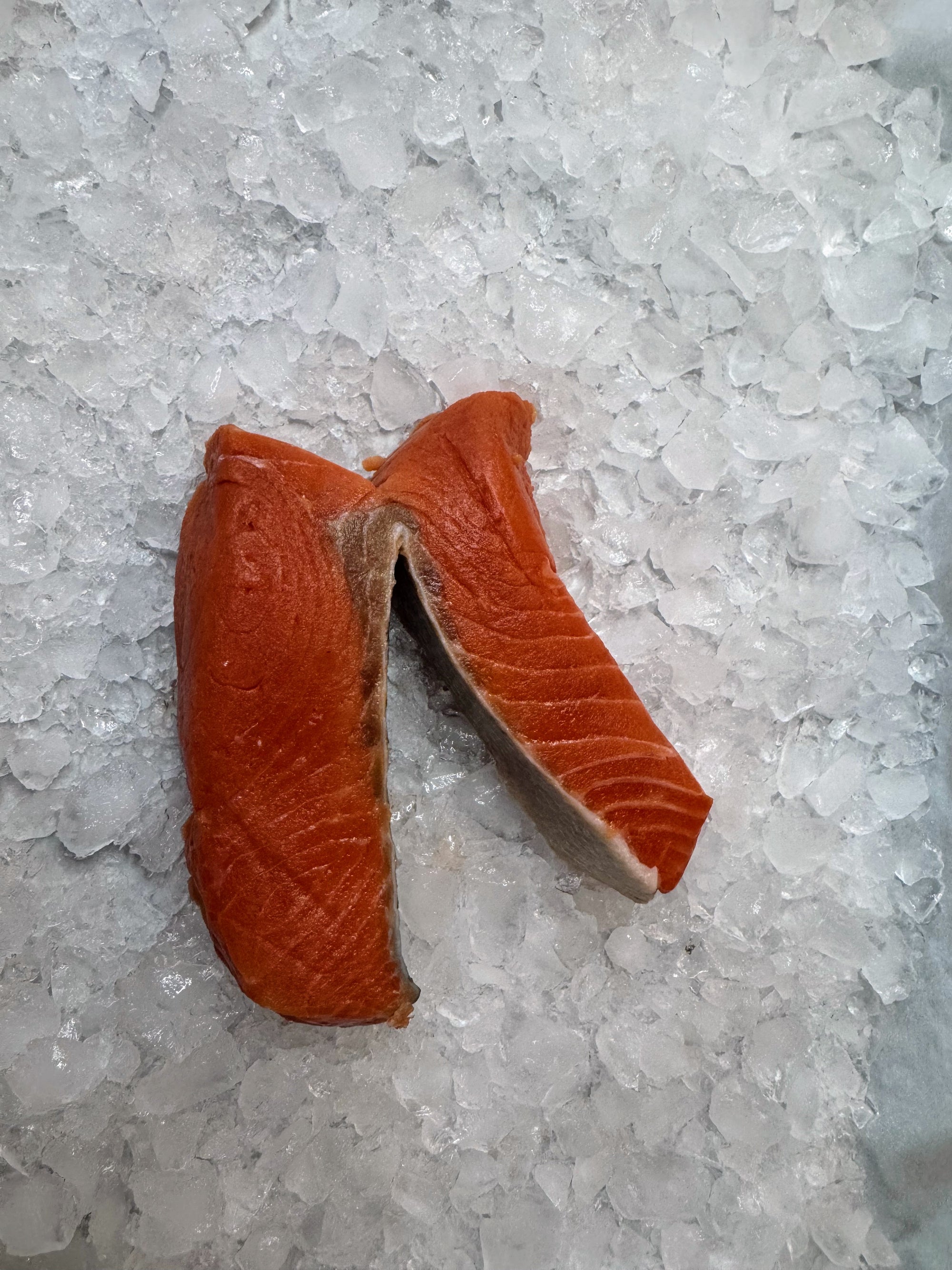 A large piece of copper river king salmon on a bed of ice