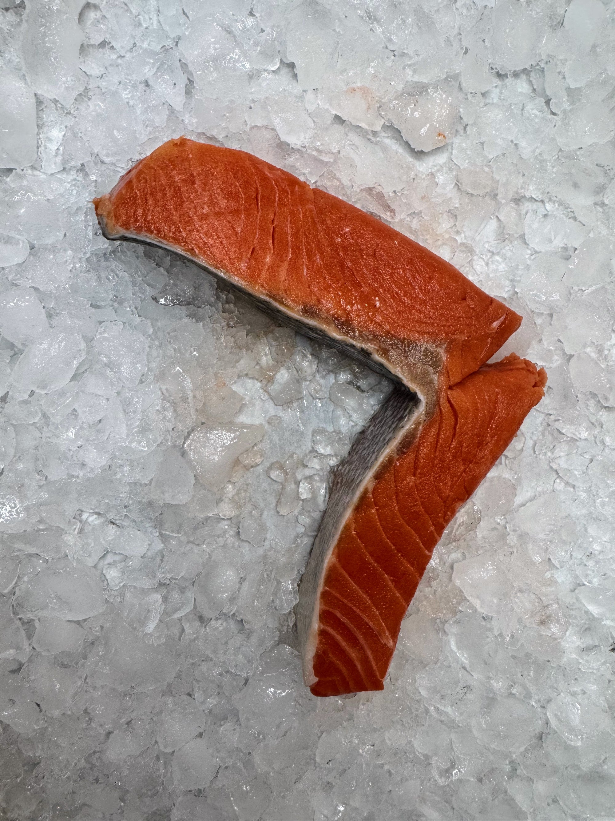 Sliced piece of copper river king salmon on a bed of ice
