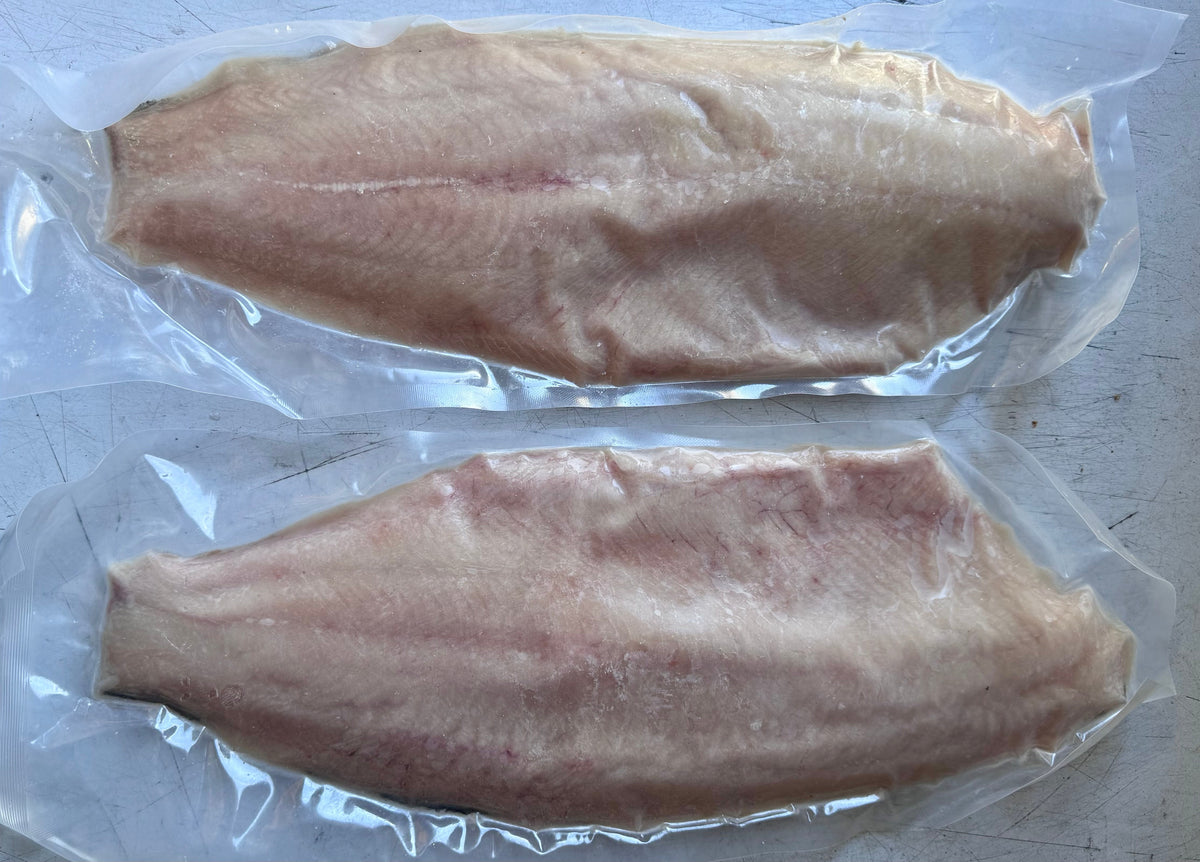 Two ivory king fish fillets in clear plastic vacuum packaging, placed side by side on a light gray surface.