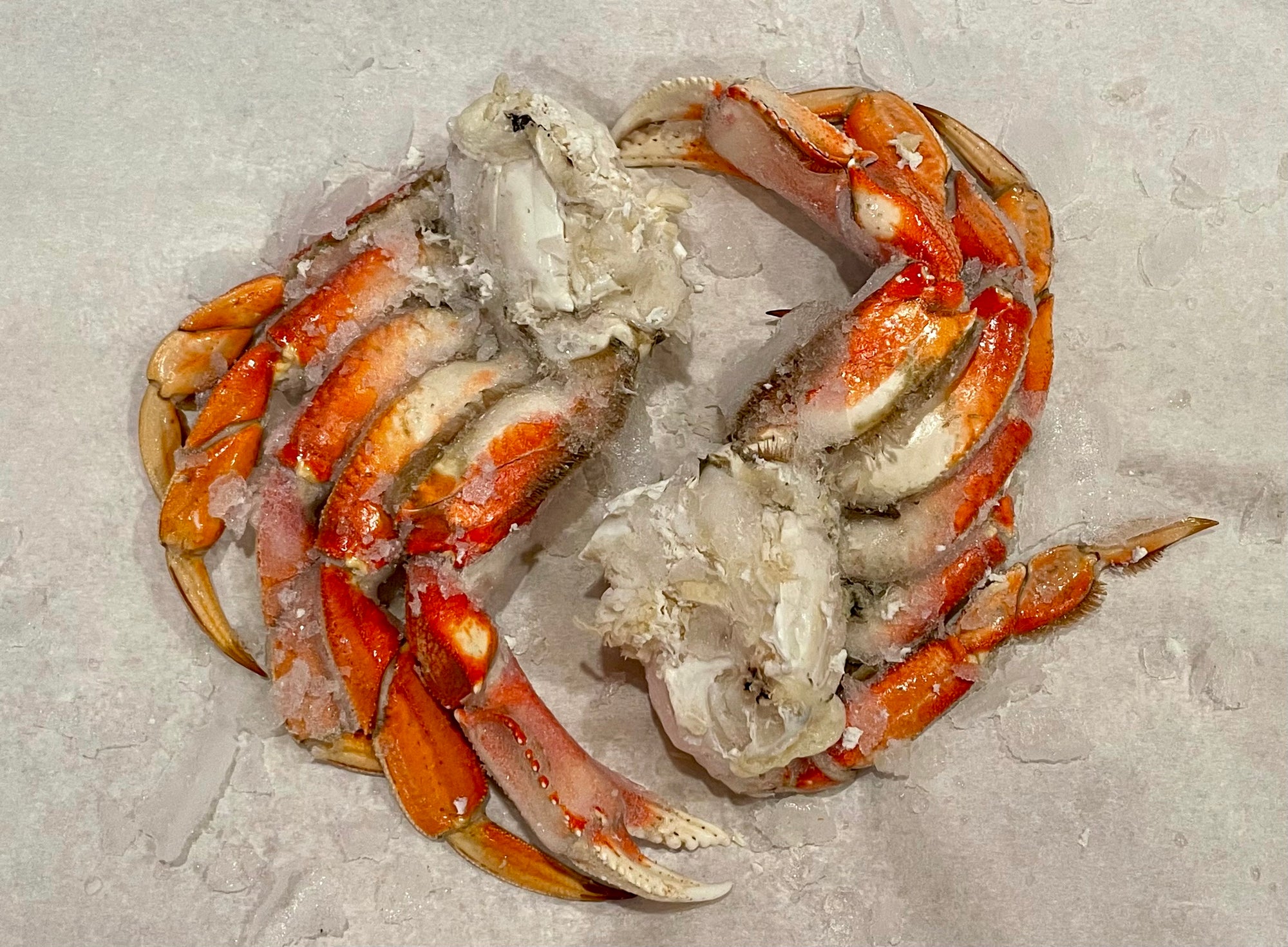 Dungeness crab cluster