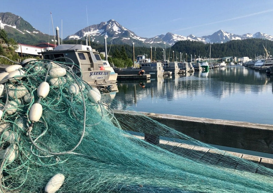 cordova, alaska