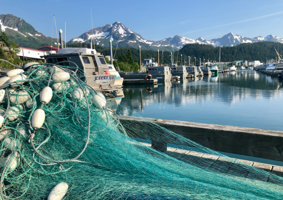 Copper River Coho Salmon Chop